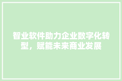 智业软件助力企业数字化转型，赋能未来商业发展