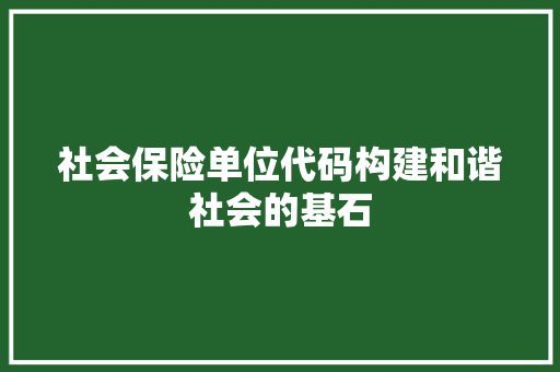 社会保险单位代码构建和谐社会的基石
