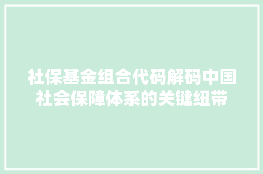 社保基金组合代码解码中国社会保障体系的关键纽带