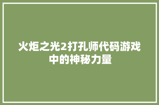 火炬之光2打孔师代码游戏中的神秘力量