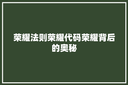 荣耀法则荣耀代码荣耀背后的奥秘