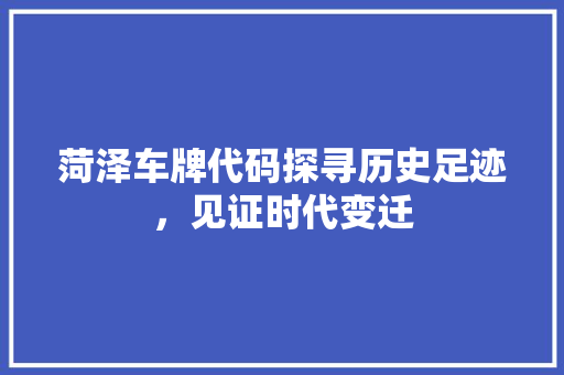 菏泽车牌代码探寻历史足迹，见证时代变迁