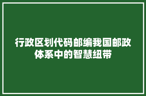 行政区划代码邮编我国邮政体系中的智慧纽带