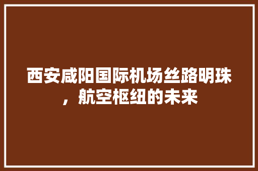 西安咸阳国际机场丝路明珠，航空枢纽的未来  第1张