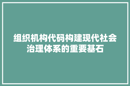 组织机构代码构建现代社会治理体系的重要基石