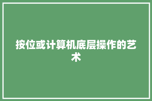 按位或计算机底层操作的艺术