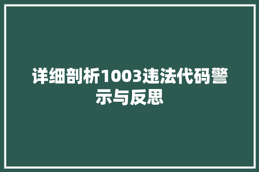详细剖析1003违法代码警示与反思