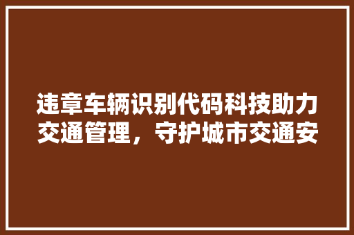 违章车辆识别代码科技助力交通管理，守护城市交通安全