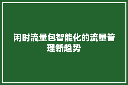 闲时流量包智能化的流量管理新趋势