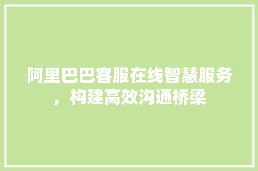 阿里巴巴客服在线智慧服务，构建高效沟通桥梁