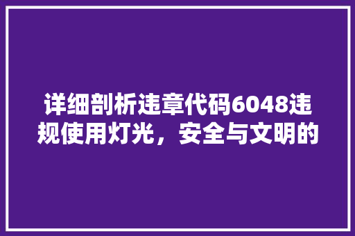 详细剖析违章代码6048违规使用灯光，安全与文明的双重挑战