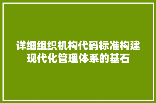 详细组织机构代码标准构建现代化管理体系的基石
