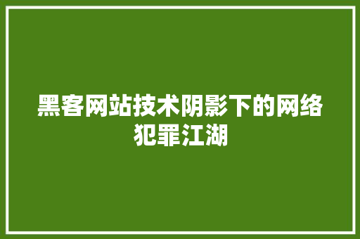 黑客网站技术阴影下的网络犯罪江湖