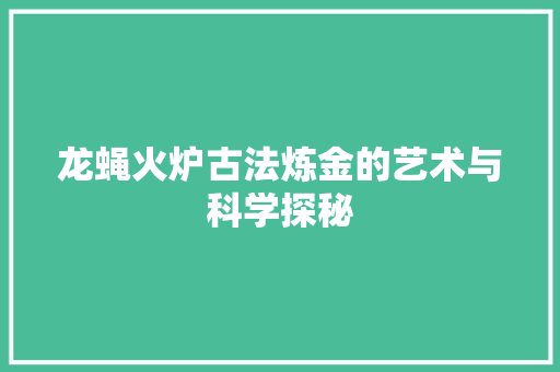 龙蝇火炉古法炼金的艺术与科学探秘