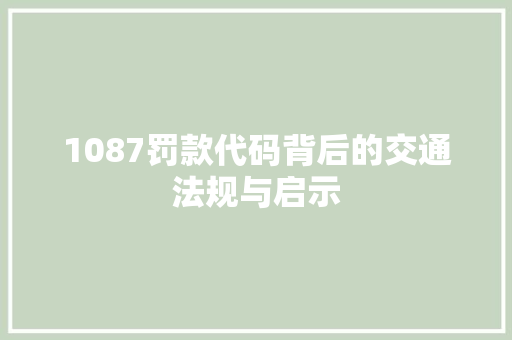 1087罚款代码背后的交通法规与启示