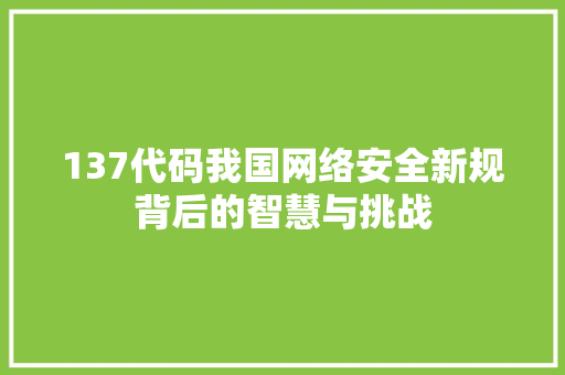 137代码我国网络安全新规背后的智慧与挑战