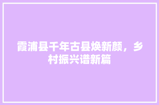 霞浦县千年古县焕新颜，乡村振兴谱新篇
