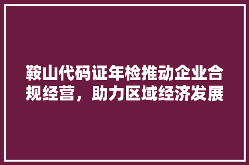 鞍山代码证年检推动企业合规经营，助力区域经济发展