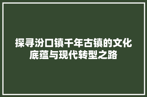 探寻汾口镇千年古镇的文化底蕴与现代转型之路