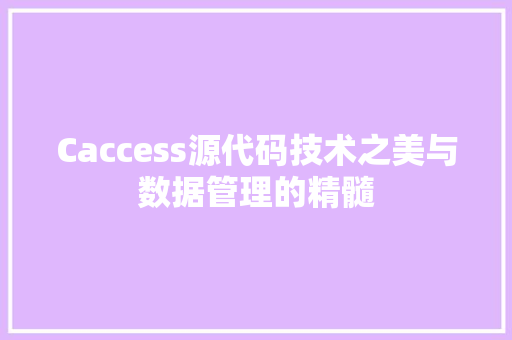 Caccess源代码技术之美与数据管理的精髓