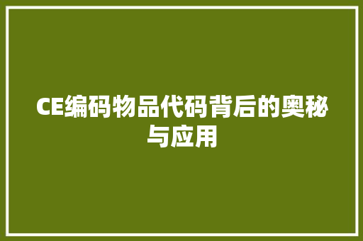 CE编码物品代码背后的奥秘与应用