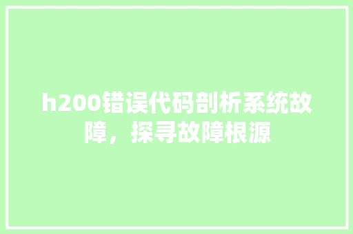 h200错误代码剖析系统故障，探寻故障根源
