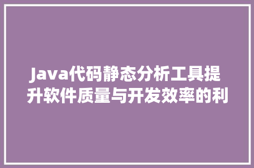 Java代码静态分析工具提升软件质量与开发效率的利器  第1张