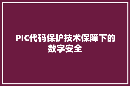 PIC代码保护技术保障下的数字安全