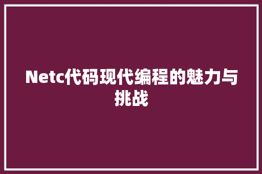 Netc代码现代编程的魅力与挑战