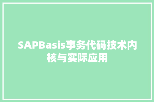 SAPBasis事务代码技术内核与实际应用