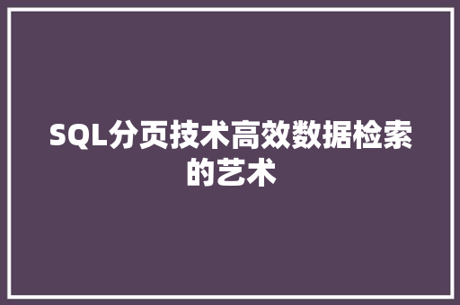 SQL分页技术高效数据检索的艺术