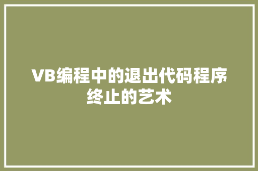 VB编程中的退出代码程序终止的艺术