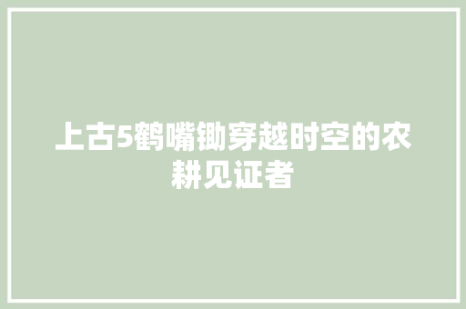 上古5鹤嘴锄穿越时空的农耕见证者