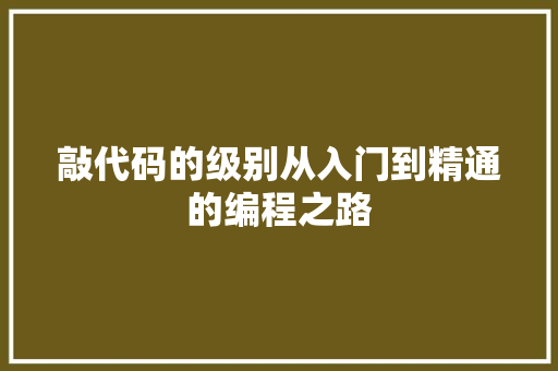 敲代码的级别从入门到精通的编程之路