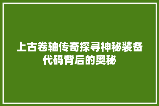 上古卷轴传奇探寻神秘装备代码背后的奥秘