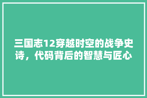 三国志12穿越时空的战争史诗，代码背后的智慧与匠心