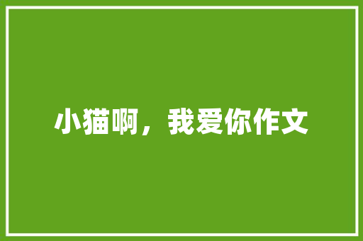 东北大学专业代码人才培养的奥秘