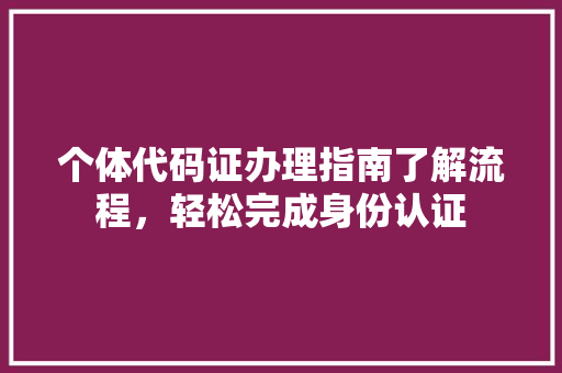 个体代码证办理指南了解流程，轻松完成身份认证