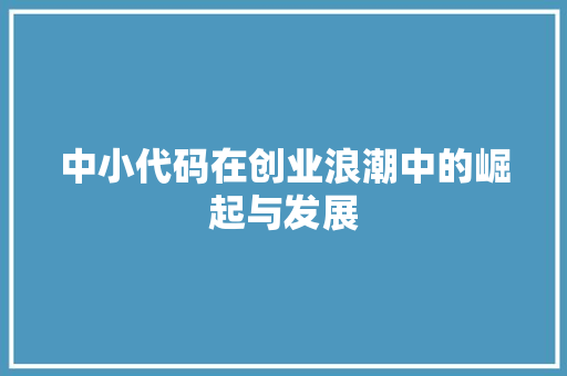 中小代码在创业浪潮中的崛起与发展