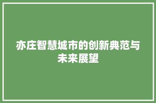 亦庄智慧城市的创新典范与未来展望