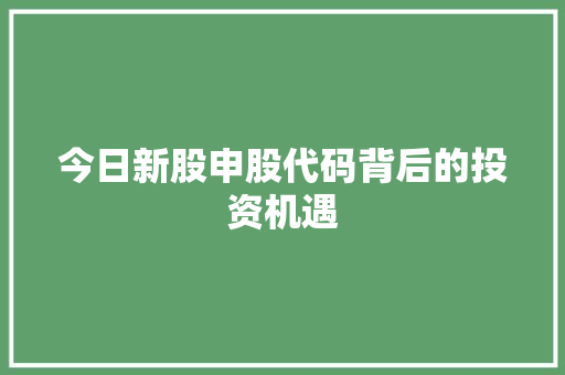 今日新股申股代码背后的投资机遇