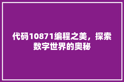 代码10871编程之美，探索数字世界的奥秘