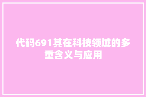 代码691其在科技领域的多重含义与应用