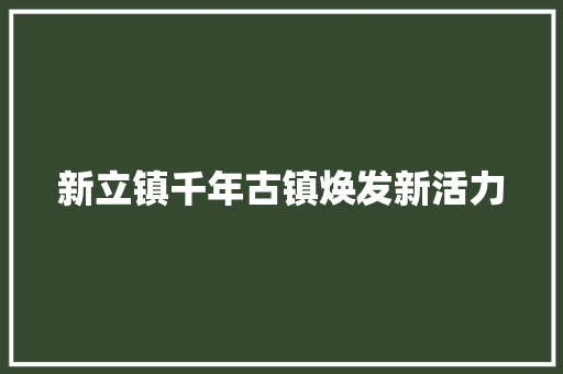 新立镇千年古镇焕发新活力