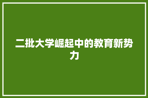 二批大学崛起中的教育新势力