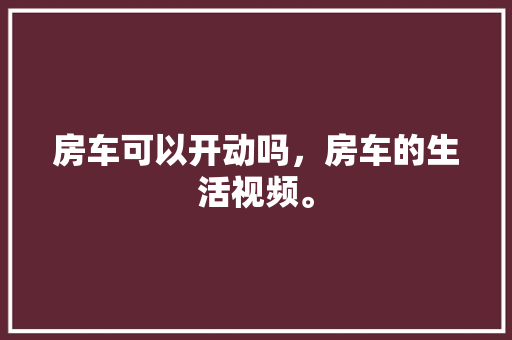 2k永久代码技术革新下的未来编程之路