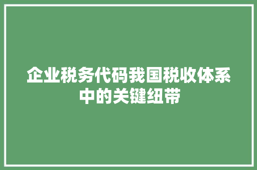 企业税务代码我国税收体系中的关键纽带