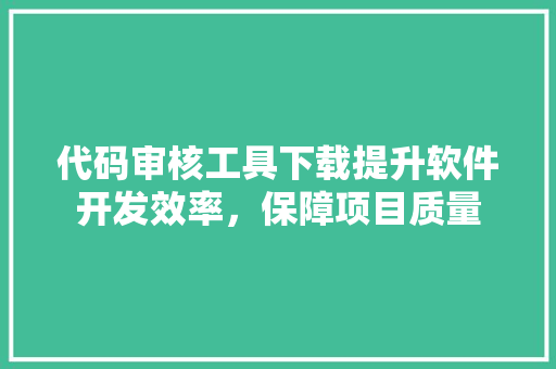 代码审核工具下载提升软件开发效率，保障项目质量