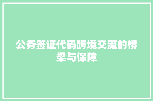 公务签证代码跨境交流的桥梁与保障