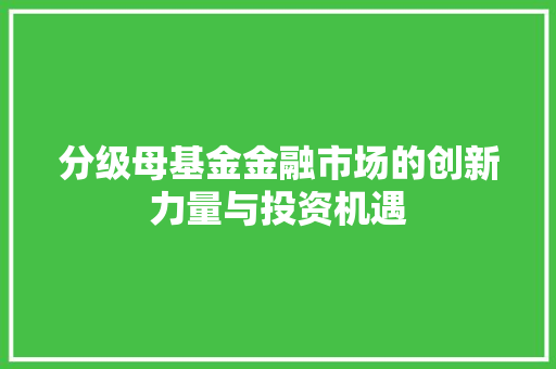 分级母基金金融市场的创新力量与投资机遇